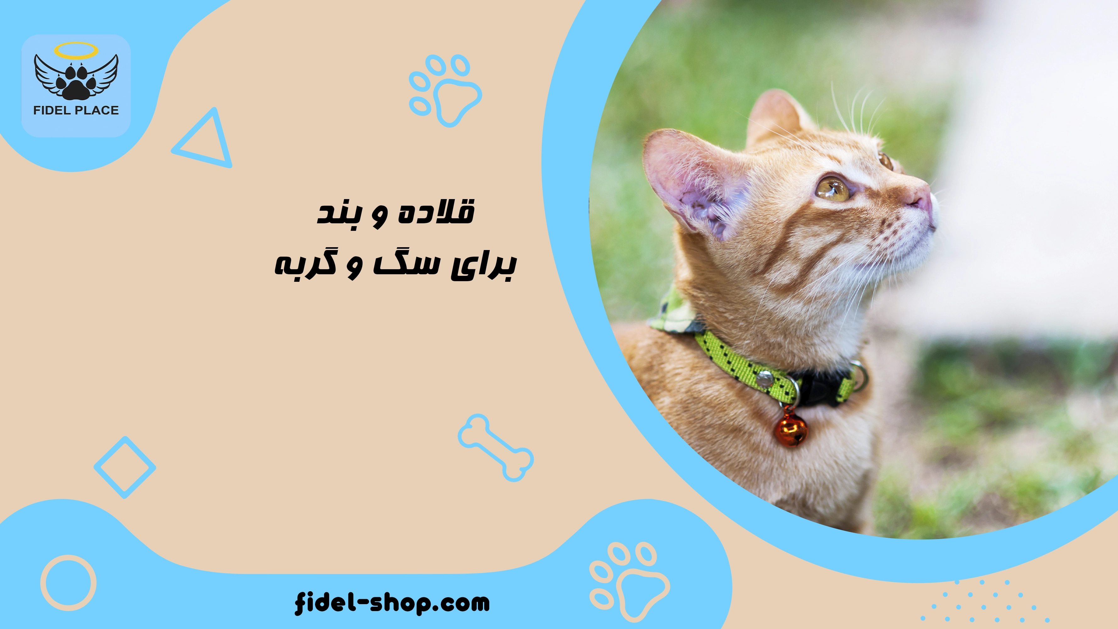 راهنمای خرید قلاده و بند سگ و گربه