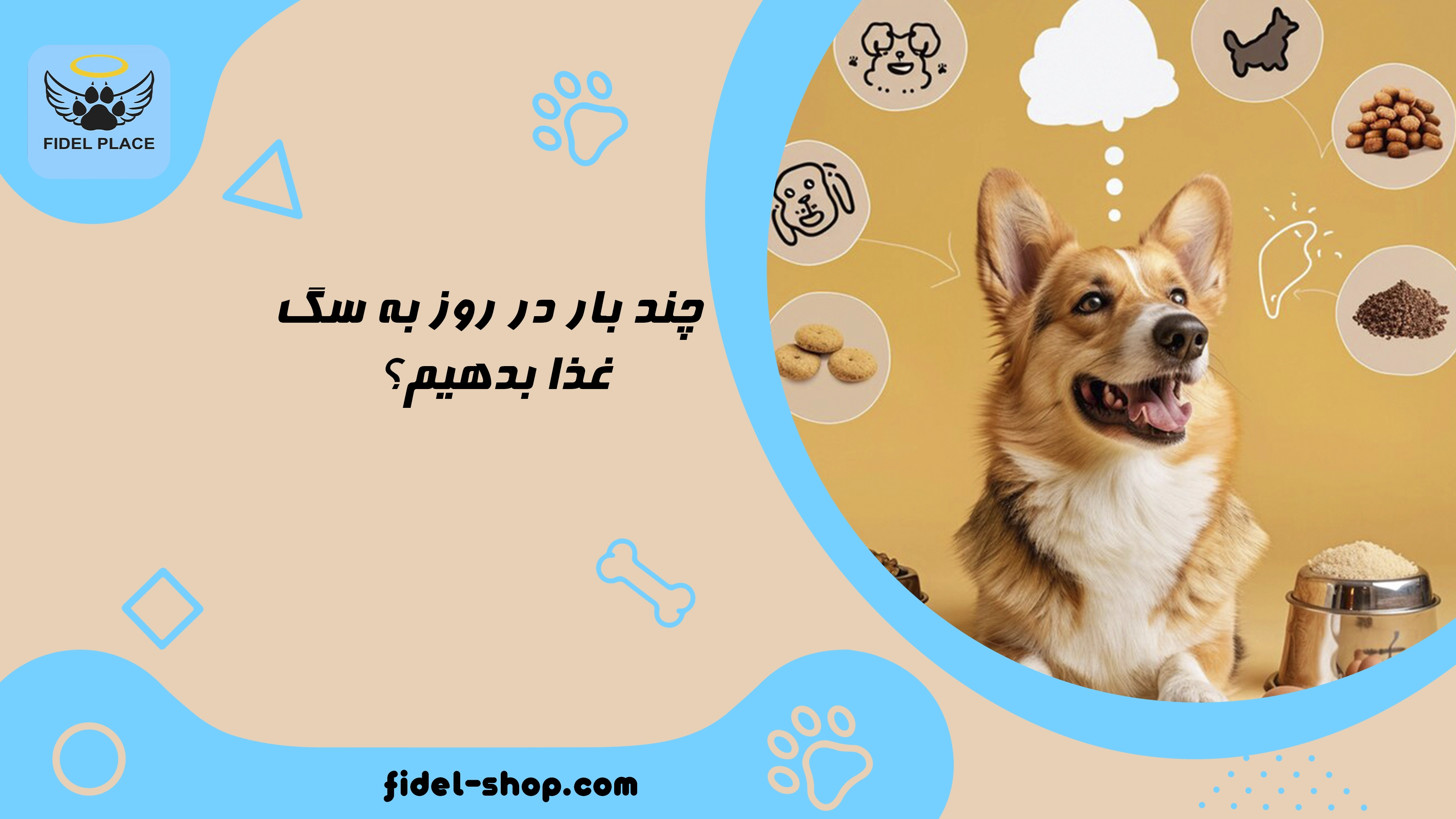  برنامه غذایی سگ بر اساس سن و وزن